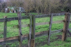 Stables & Fencing   /   Jan 2020