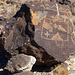 Petroglyph National Mocument