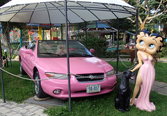 0 (1311)...pink car