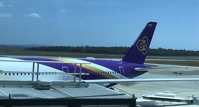 my purple flying steed awaits