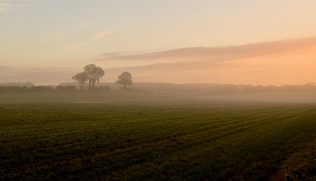 Soft sunrise - North Yorkshire