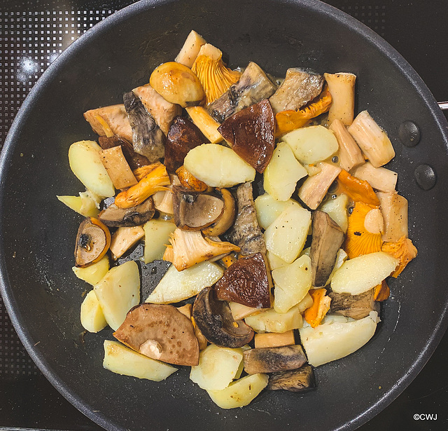 Mushrooms for lunch: chanterelles and Bolete