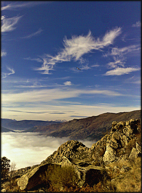 Wispy and foggy. (Could describe my mental agility in these temperatures at  night!)