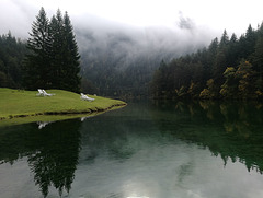Fernsteinsee in Tirol