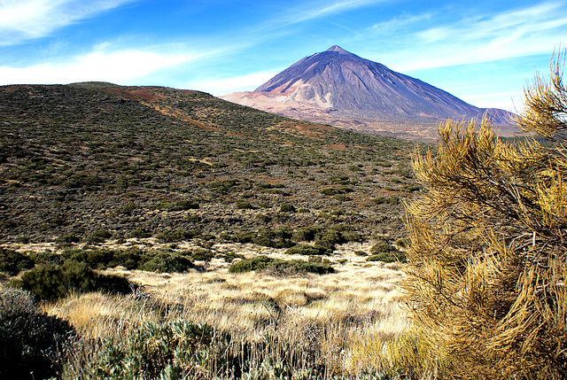 Blick zurück zum Teide. ©UdoSm