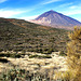 Blick zurück zum Teide. ©UdoSm