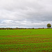 Gnosall autumn fields