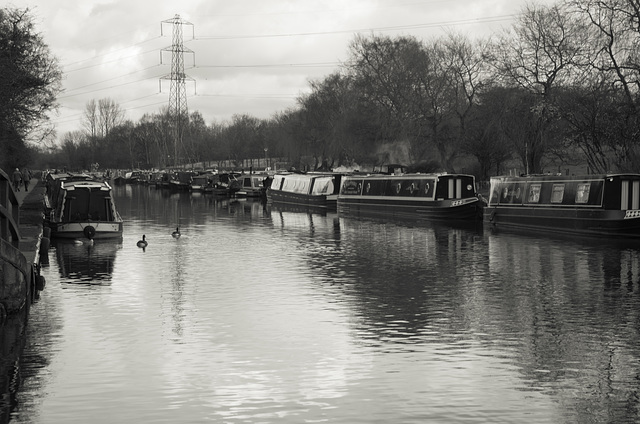 Quiet Day on the Macclesfield Canal