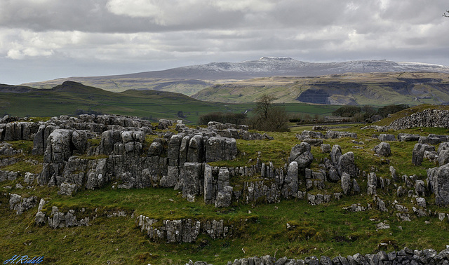 Pen-y-ghent from Langliffe