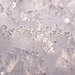 Als wie geschliffen,sehen die Schneekristalle aus der Nähe aus :))  The snow crystals look like they have been polished up close :))  Les cristaux de neige semblent avoir été polis de près :))