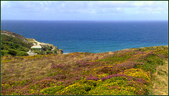 Above Trevaunance Cove, St Agnes, Cornwall