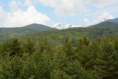 Bulgaria, Landscape of Forest and Mountain in Rila National Park
