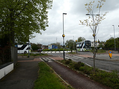 Stagecoach East buses on the Dutch Style Roundabout in Cambridge - 22 Apr 2024 (P1180093)