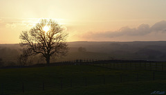 A Dales Sunset