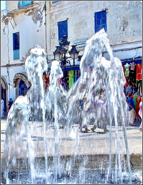 Tunisi : una bella fontana nella Medina