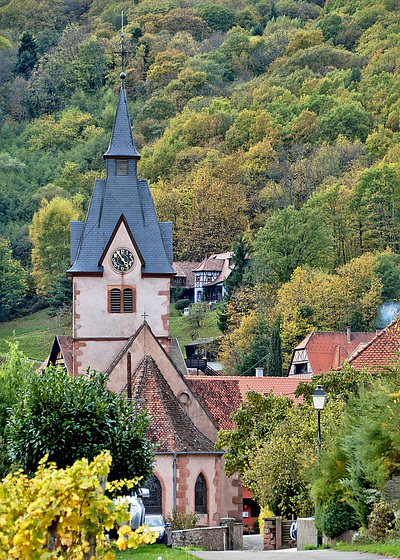 Reichsfeld, Alsace, France - 2017-10-24 1250134