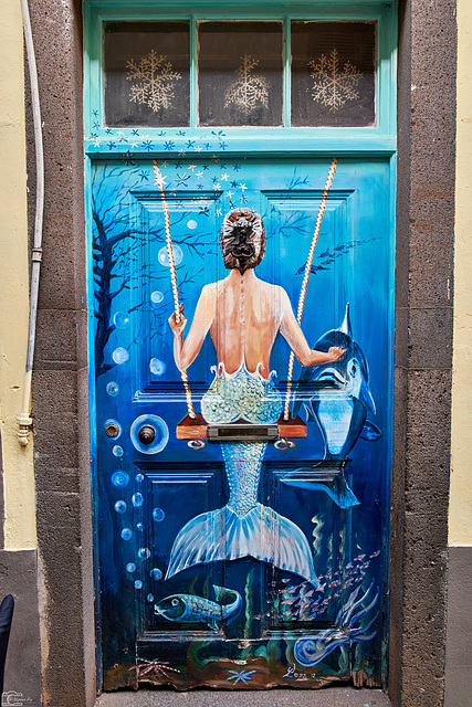 From my Collage Türen, Street Art in Madeira