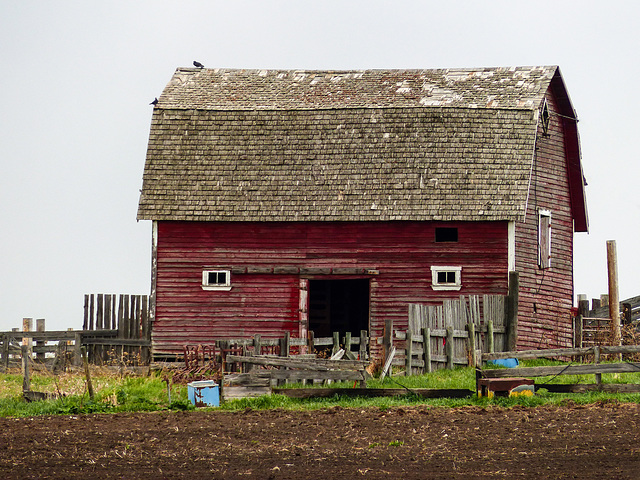 Little red barn on Mother's Day
