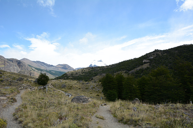 Argentina, The Path to Laguna Torre from the Northern Outskirts of El Chalten Village