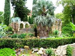 FR - Montpellier - Jardin des plantes