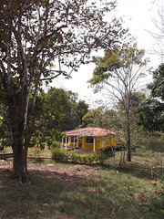 Maison panaméenne / Casa panameña