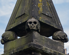 Ashbourne skull (1)