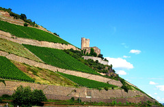 DE - Burg Ehrenfels, seen from the Rhine