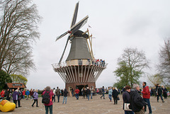 Windmühle im Keukenhof