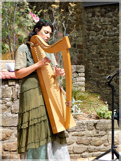 Harpe avec Elisa au passage de la Tour ( Dinan (22))