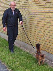 Walking with Rags, 1