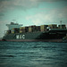 Containerschiff MSC RAFAELA
