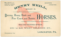 Henry Weill, Dealer in Horses, Lancaster, Pa.