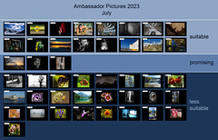 Ambassador Pictures 2023, July
