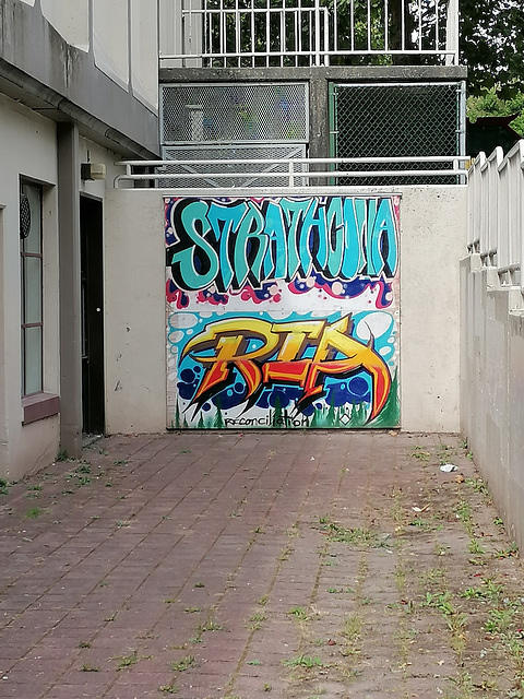 Strathcona Mural