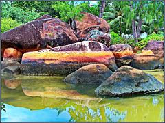 Seychelles : blocchi di granito dai colori insoliti sulla spiaggia di Praslin dove arriva l'acqua del mare , ma la pioggia quotidiana produce su queste pietre effetti di colore mai visti prima. -