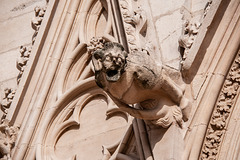 Lyon. Une sirène sur la façade de la cathédrale Saint Jean(Voir sur fond noir Z)