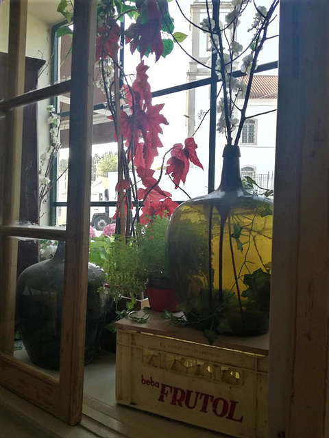 "Ginjinha do Sanguinhal" shop window, inside view