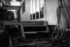 The Back Steps, The Hose and The Evening Sky