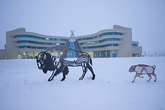 bison sculptures at FN Univ