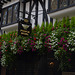 York, Decoration of House on Stonegate (Punch Bowl)