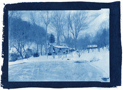 new cyanotype 2-29-16 Cook shed