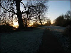 Thames Path at daybreak