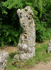 The Tallest of the Rollright Stones