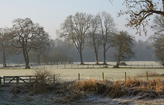 Mist and frost near Gridleton