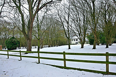 Winter Fence   /   March 2018