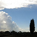 A Rome (Italie), le Palatin après l'orage