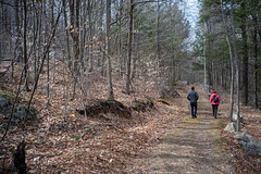 April 3:  Walk In The Woods