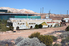 Long bus