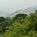 View over Arima valley from Asa Wright Nature Centre, Trinidad