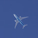 China Southern Airlines Boeing 787-8 Dreamliner